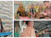 Sidak stok dan harga pangan