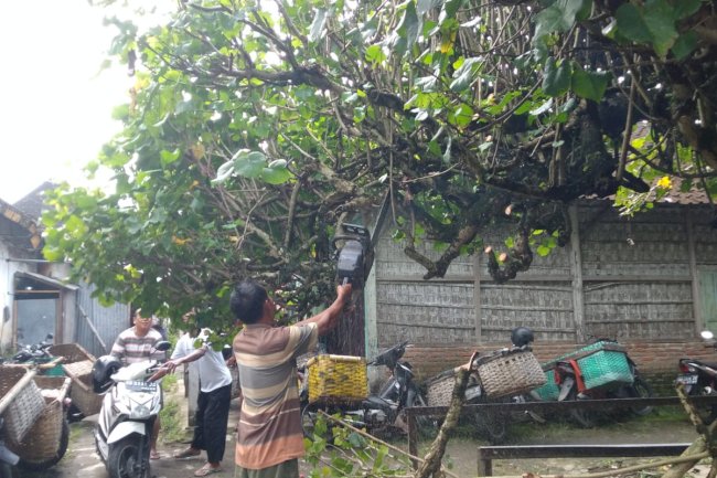Kerja Bakti Pasar Karanganom Klaten