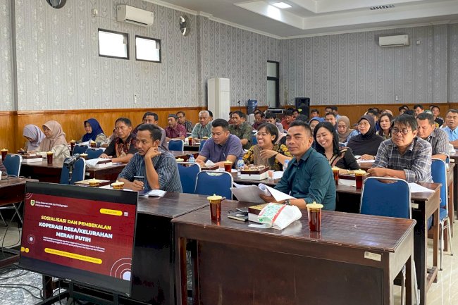 Pembekalan TA Kabupaten, Pendamping Desa Koperasi Desa/Kelurahan Merah Putih